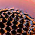 Artificial Intelligence in Modern Scientific Research